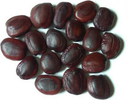 NILKANTH ENTERPRISE IMLI, AMBALIYA Seed