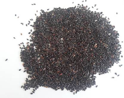 Garden Craft SUPER NAPIER GRASS Seed