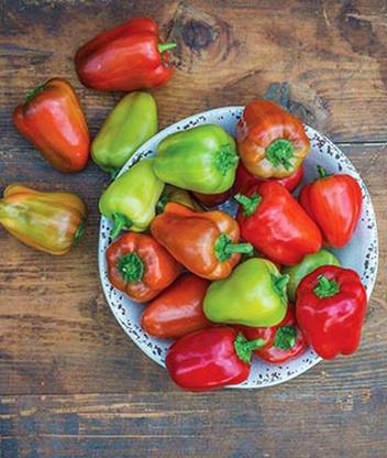 VibeX Sweet Confetti Hybrid Pepper Seed