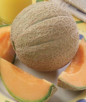 VibeX Cantaloupe, Hearts Of Gold Organic Melon Seed