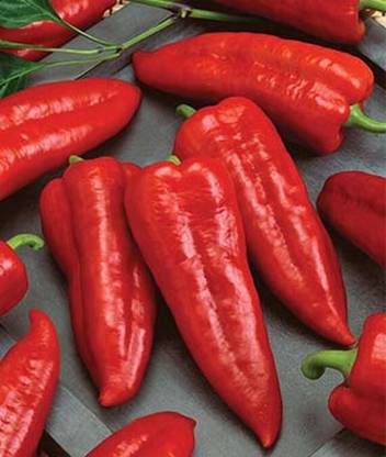 VibeX Organic Sweet Marconi Rosso Pepper Seed