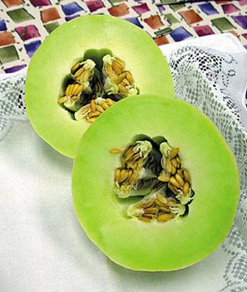 VibeX Melon, Honeydew Green Flesh Organic Seed