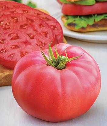 VibeX F1 Tomato, Medium Rare Hybrid Seed