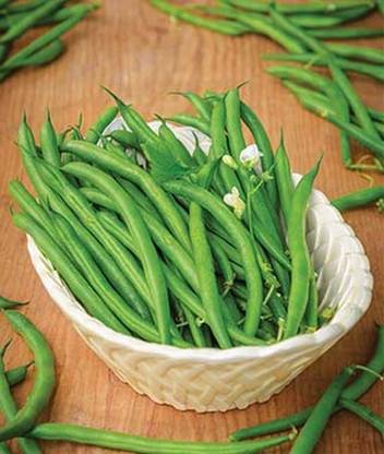 VibeX Bean, Bush, Desperado Seed