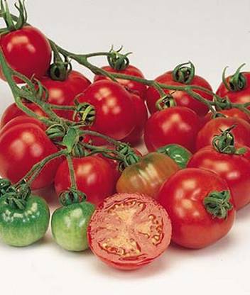 VibeX Bloody Butcher Tomato Seed