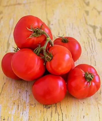 VibeX Organic Tomato, Oh Happy Day Hybrid Seed