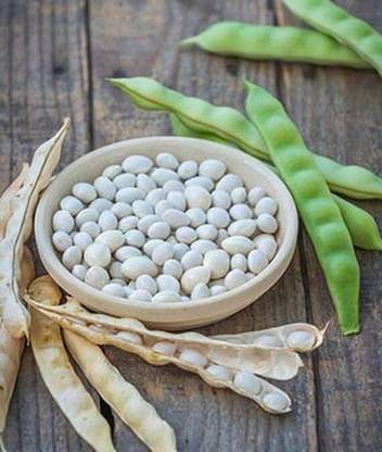 VibeX Lazy Housewife Pole Bean Seed