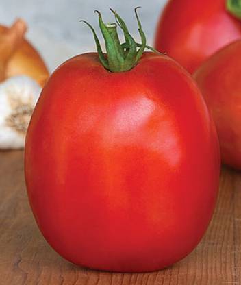 VibeX SuperSauce Hybrid Tomato Seed