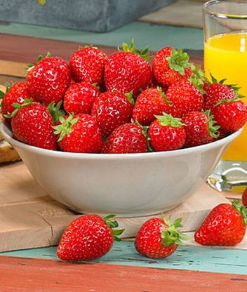 VibeX Toscana Strawberry Seed