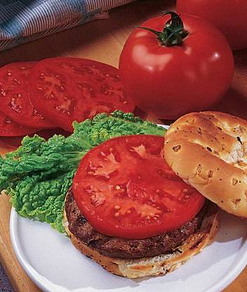 VibeX Tomato, Supertasty Hybrid Seed