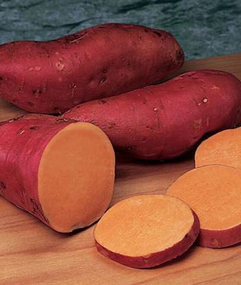 VibeX Sweet Potato, Beauregard Seed
