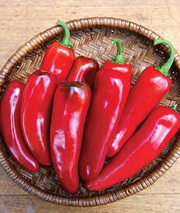 VibeX Hot Born to be Mild Hybrid Pepper Seed