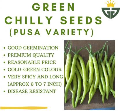 KAPTS GROUP chilli, green chilli, mirchi, hari mirch Seed