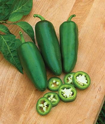 VibeX Jalapeno Big Guy Hybrid Hot Pepper Seed