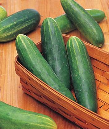 VibeX Cucumber, Double Yield Organic Seed