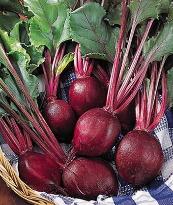VibeX Detroit Supreme Beetroot Seed