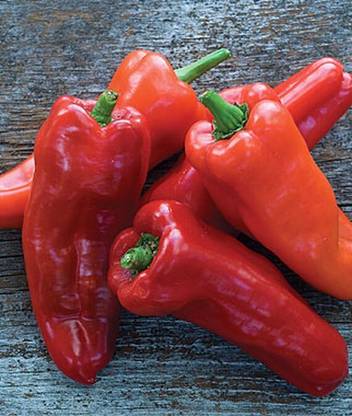 VibeX Sweet, Costa Rican Sweet Hybrid Pepper Seed