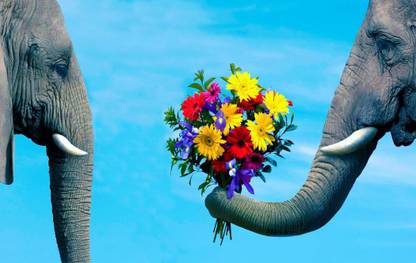 imbue Animals Multicolor Wallpaper