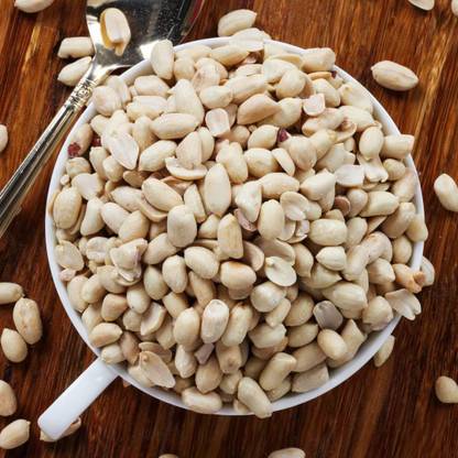 Organic Bites Roasted Salted Peanut (Without Skin)