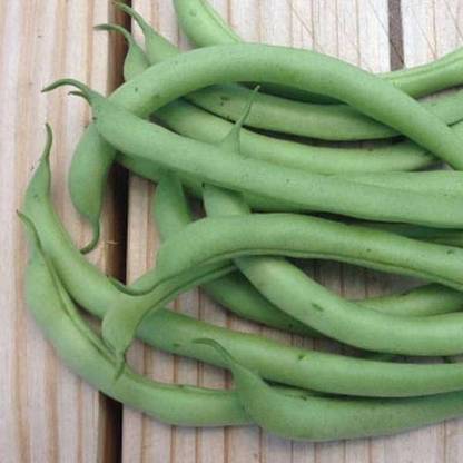 VibeX France Beans Seed