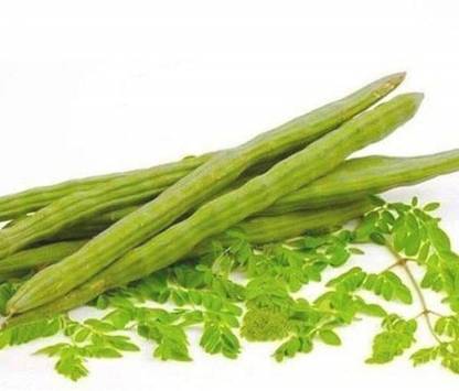 VibeX Moringa Oleifer Seed