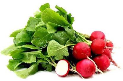 VibeX Radish Seed