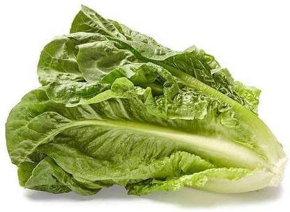 VibeX Lettuce Seed