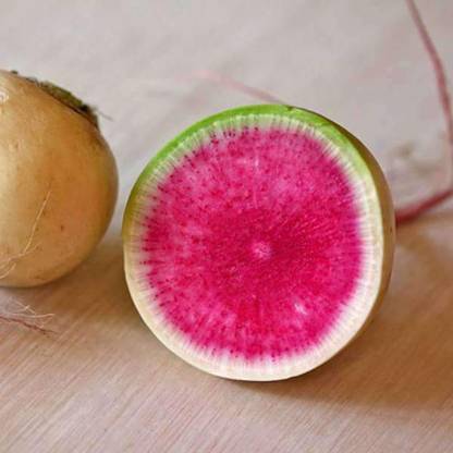 VibeX Radish Green Round - Vegetable Seeds Seed