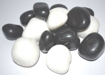 ERCOLE Decorative Smooth Polished Shiny Stone Pebble For Aquarium Fish Tank Plant Pots Garden Home Table & Outdoor Decoration (Black & White, 500 grams) Regular, Polished Angular, Asymmetrical, Oval Marble Pebbles
