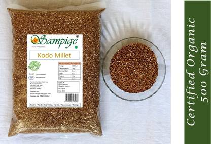 Sampige kod0-5g Kodo Millet
