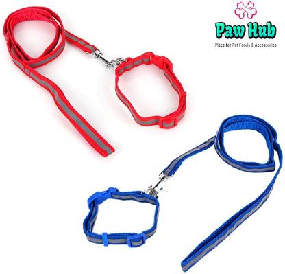 Paw Hub Dog Collar & Leash