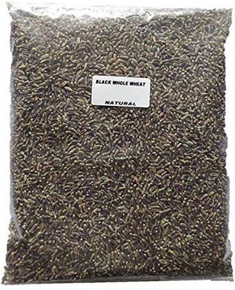 VibeX Black Wheat Seed