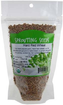 VibeX Wheatgrass Seed
