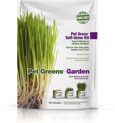 VibeX Cat Grass Kit Seed