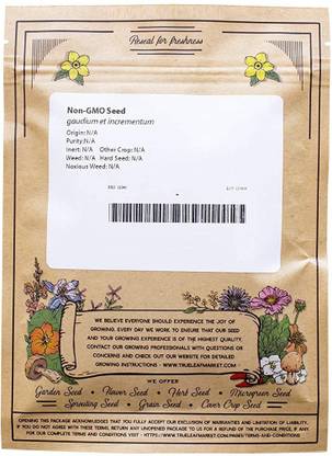 WILLVINE Ancient Wheat Variety - Grow Grain, Fodder, Wheatgrass Seed