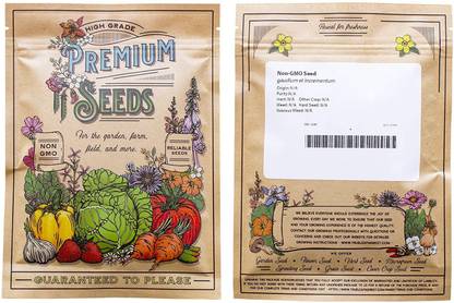 VibeX wheat grass Seed
