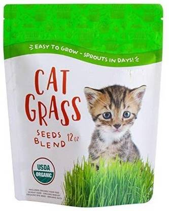 VibeX Wheatgrass Seed