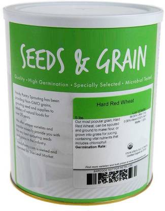 VibeX Wheat Seeds Seed