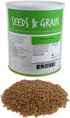 VibeX Wheatgrass Seed