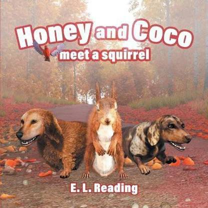 Honey and Coco meet a squirrel