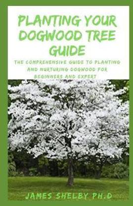 Planting Your Dogwood Tree Guide