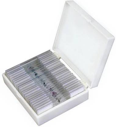 Comet Slide Box of 25 Prepared Slides Microscope Slide Box