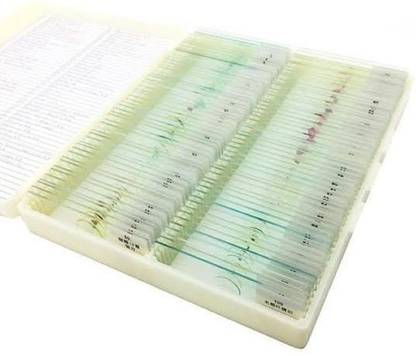 Comet Slide Box of 100 Prepared Slides Microscope Slide Box