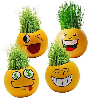 eDUST DIY Emoji Plant Pot with seed for Home, Car , Table Decoration Emoji 4-12 Plant Container Set