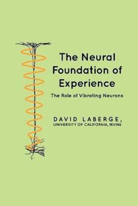 The Neural Foundation of Experience
