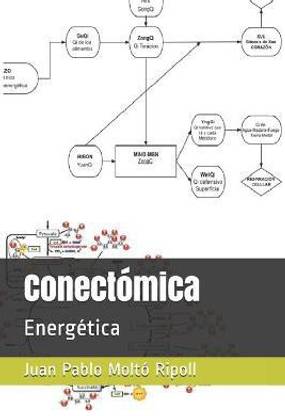 Conectomica