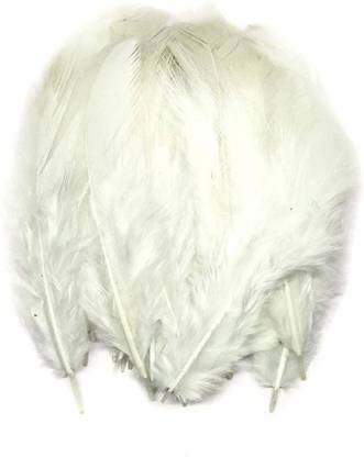 UVID ART AND CRAFT SUPPLIES Pack of 40 Decorative Feathers