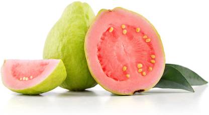 Guava Pink
