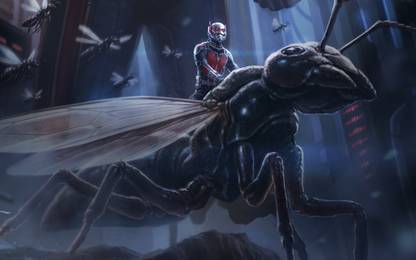Movie Ant-Man HD Wallpaper Background Paper Print