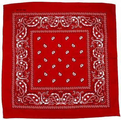 wastvik 100% COTTON MEN HANKY/Handkerchief Red Printed ["Red"] Handkerchief